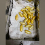DRI Mumbai arrests passenger after cocaine valued at Rs 11.39…
