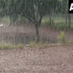 Rainfall in Udhampur’s Chanthal village revives hope for growth of…