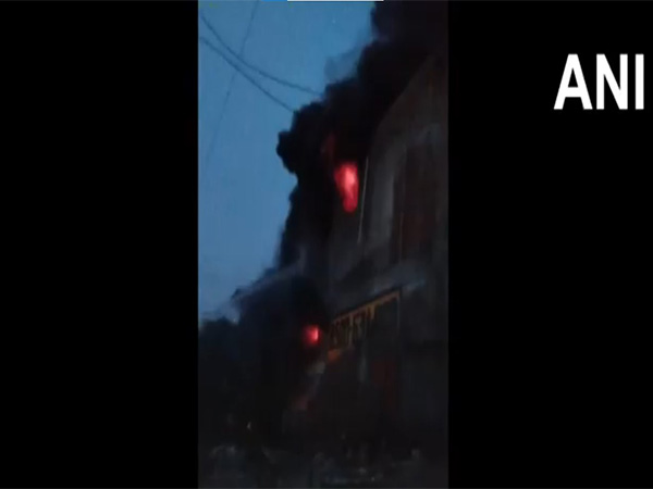 Fire breaks out in Delhi's Bawana (Photo: ANI) Fire breaks out in Delhi's Bawana (Photo: ANI)