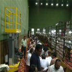Uttarakhand Panchayat polls: Counting of votes underway