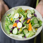 Sanitized ready-to-eat salad may contain disease-causing bacteria: Research