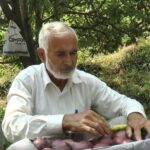 J&K: Italian Pear orchard sparks self-reliance boom in Jammu’s Bhaderwah