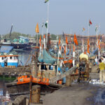 Rs. 50 crore central grant released to Gujarat under PMMSY,…