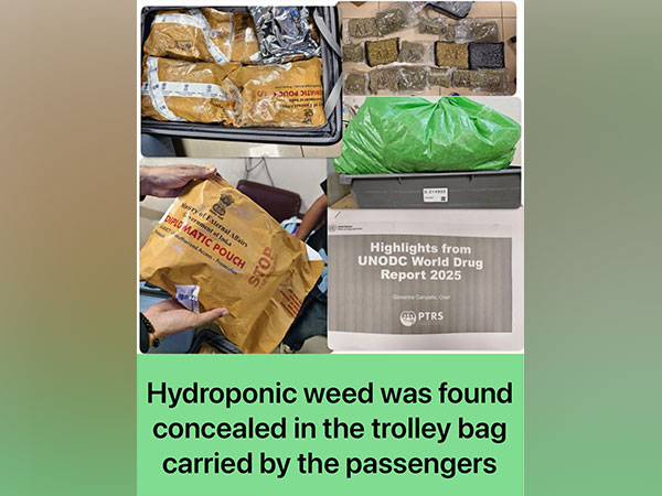 Mumbai Customs seizes Rs 14 crore worth of Hydroponic weed (Photo/ Mumbai Customs) Mumbai Customs seizes Rs 14 crore worth of Hydroponic weed (Photo/ Mumbai Customs)