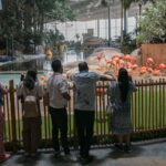 SeaWorld Abu Dhabi enriches marine knowledge, entertainment