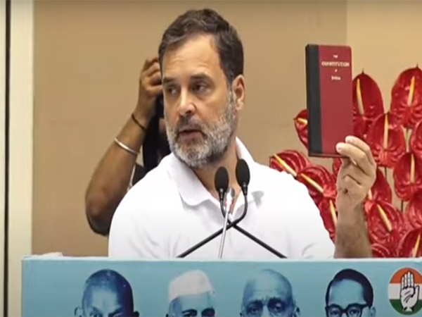 Congress MP Rahul Gandhi (File Photo/ANI) Congress MP Rahul Gandhi (File Photo/ANI)