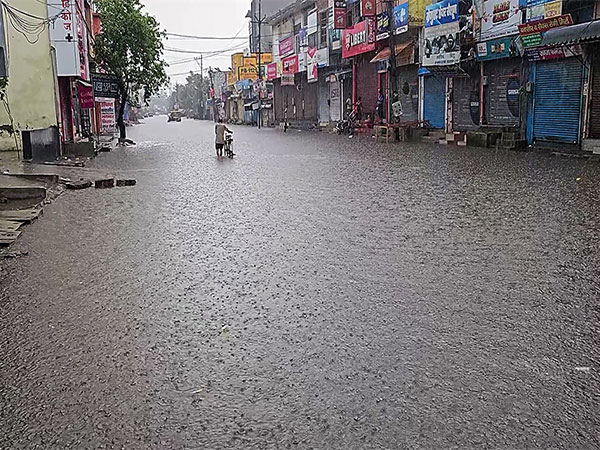 A man drags his cycle through waterlogged road following heavy rainfall, in Jhajjar (Photo/ANI) A man drags his cycle through waterlogged road following heavy rainfall, in Jhajjar (Photo/ANI)