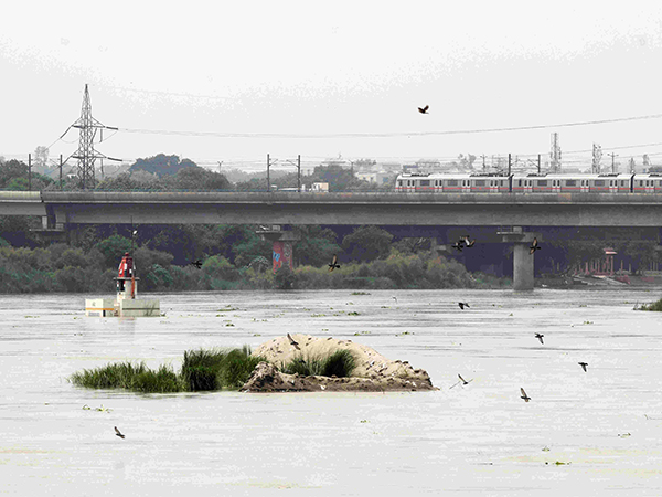 Yamuna River (Photo/ANI) Yamuna River (Photo/ANI)