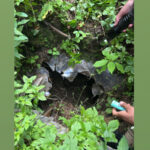 J-K: Baramulla Police busts terrorist hideout in Gogaldara-Danwas forest