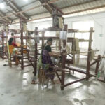 Assam’s traditional weavers embrace new technologies to boost income and…