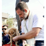 “These voiceless souls are not ‘problems’ to be erased”: Rahul…