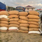 Assam Rifles intercepts illegal areca nuts in Champhai, Mizoram
