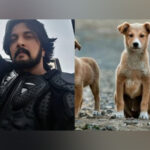 “They didn’t choose streets but…”: Kichcha Sudeepa urges to “kindly…