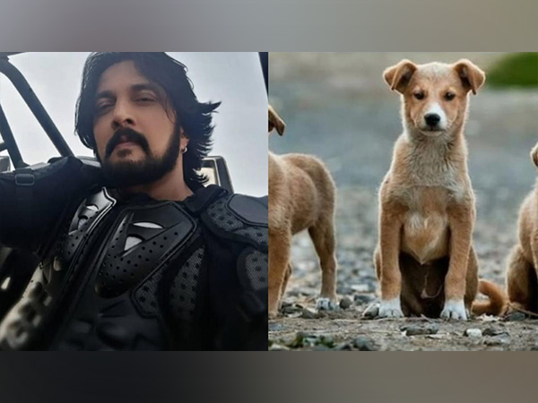Kichcha Sudeepa (Photo/instagram/@ Kichcha Sudeepa (Photo/instagram/@