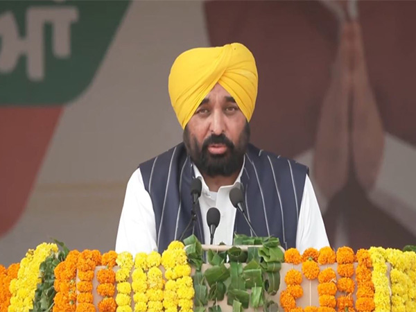 Punjab CM Bhagwant Mann (FilePhoto/ANI) Punjab CM Bhagwant Mann (FilePhoto/ANI)