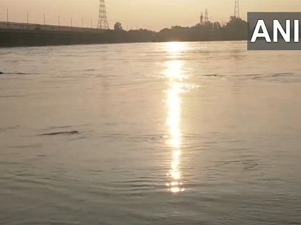 Visual from Delhi's ITO showing Yamuna river flowing above danger mark (Photo/ANI) Visual from Delhi's ITO showing Yamuna river flowing above danger mark (Photo/ANI)