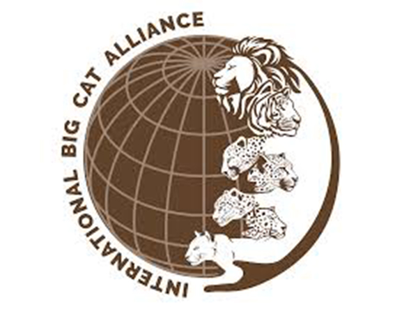 International Big Cat Alliance Representative Image (Photo/ ibca world) International Big Cat Alliance Representative Image (Photo/ ibca world)