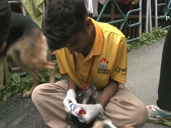 Shimla launches GPS-enabled collars (Photo/ANI) Shimla launches GPS-enabled collars (Photo/ANI)