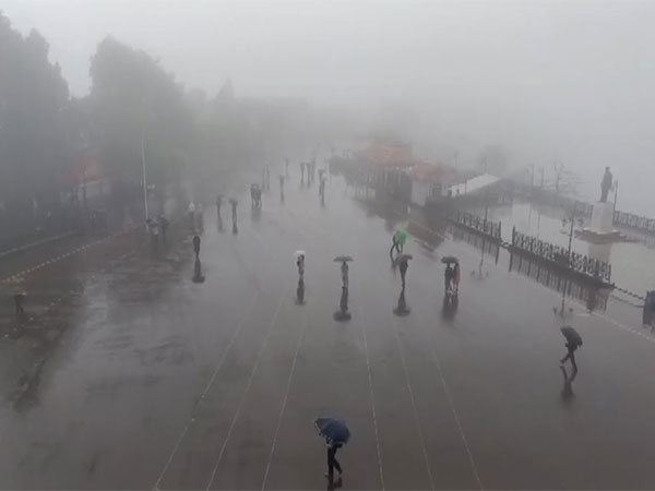 Rain lashes in Himachal Pradesh's Shimla city; fog engulfs (Photo/ANI) Rain lashes in Himachal Pradesh's Shimla city; fog engulfs (Photo/ANI)