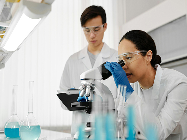 IgM is the largest antibody (Image Source: Pexels) IgM is the largest antibody (Image Source: Pexels)
