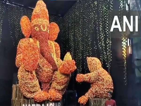 Lord Ganesh statue with help of apples (Photo: ANI) Lord Ganesh statue with help of apples (Photo: ANI)