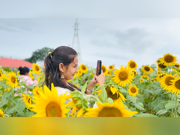 Flower fields of Gunglupet in Karnataka (Photo/ANI) Flower fields of Gunglupet in Karnataka (Photo/ANI)