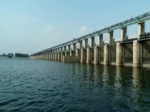 Mahanadi River in Odisha (Photo/ANI) Mahanadi River in Odisha (Photo/ANI)