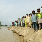 Flood-hit India, Pakistan face rising basmati prices amid crop losses