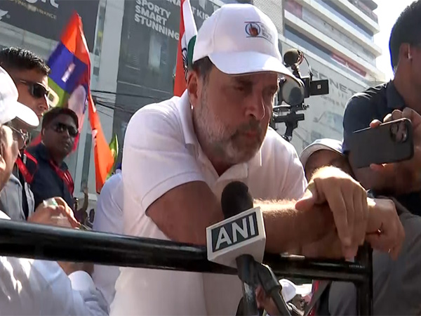 Congress MP Rahul Gandhi (Photo/ANI) Congress MP Rahul Gandhi (Photo/ANI)