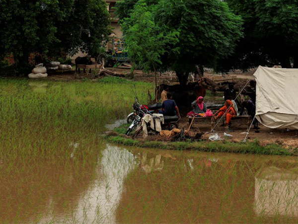 Residents sit outside a temporary tent next to a flooded field after monsoon rains and rising Chenab River waters in Patraki village, Chiniot district, Punjab province, Pakistan (Photo/Reuters) Residents sit outside a temporary tent next to a flooded field after monsoon rains and rising Chenab River waters in Patraki village, Chiniot district, Punjab province, Pakistan (Photo/Reuters)