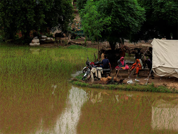 Flood in Pakistan (Image/Reuters) Flood in Pakistan (Image/Reuters)