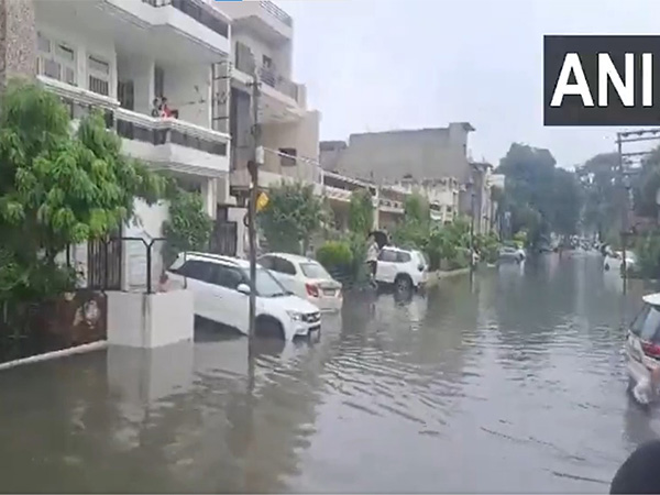 A submerged area in Punjab (File Photo/ ANI) A submerged area in Punjab (File Photo/ ANI)