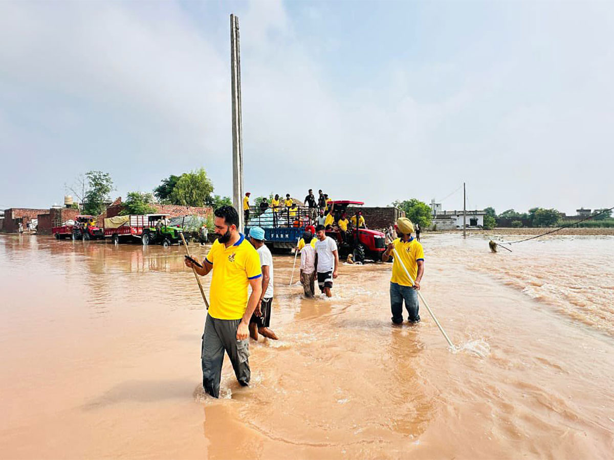 Visual from Punjab (Photo/ANI) Visual from Punjab (Photo/ANI)