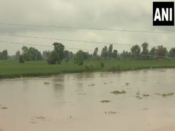 Flooded-affected villages at Hussainiwala border in Ferozepur. Flooded-affected villages at Hussainiwala border in Ferozepur.