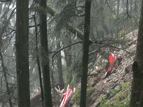 Due to heavy rainfall and a landslide, trees were uprooted near the CM's residence in Shimla. Due to heavy rainfall and a landslide, trees were uprooted near the CM's residence in Shimla.