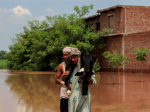 Flood-affected area in Pakistan (Photo/Reuters) Flood-affected area in Pakistan (Photo/Reuters)