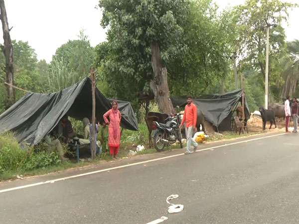 1,75,216 hectares of total cropland have been affected due to heavy rain (Photo/ANI) 1,75,216 hectares of total cropland have been affected due to heavy rain (Photo/ANI)