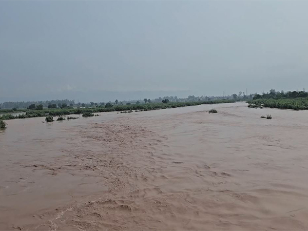 Ghaggar River in Derabassi (File Photo/ANI) Ghaggar River in Derabassi (File Photo/ANI)