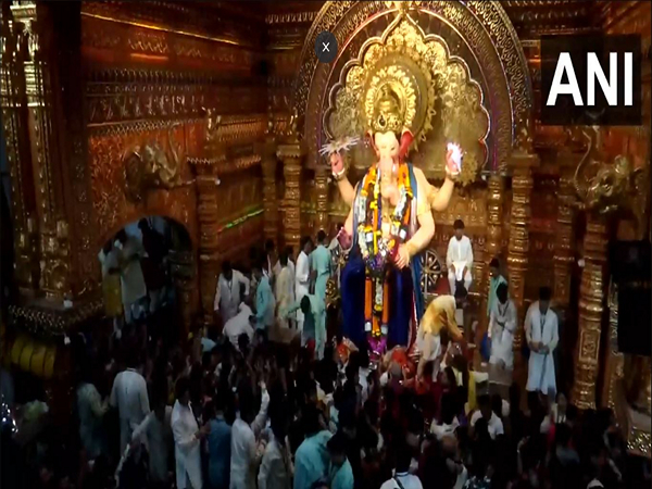 Mumbai: Large number of devotees visit Lalbaugcha Raja pandal to offer prayers. (Photo/ANI) Mumbai: Large number of devotees visit Lalbaugcha Raja pandal to offer prayers. (Photo/ANI)
