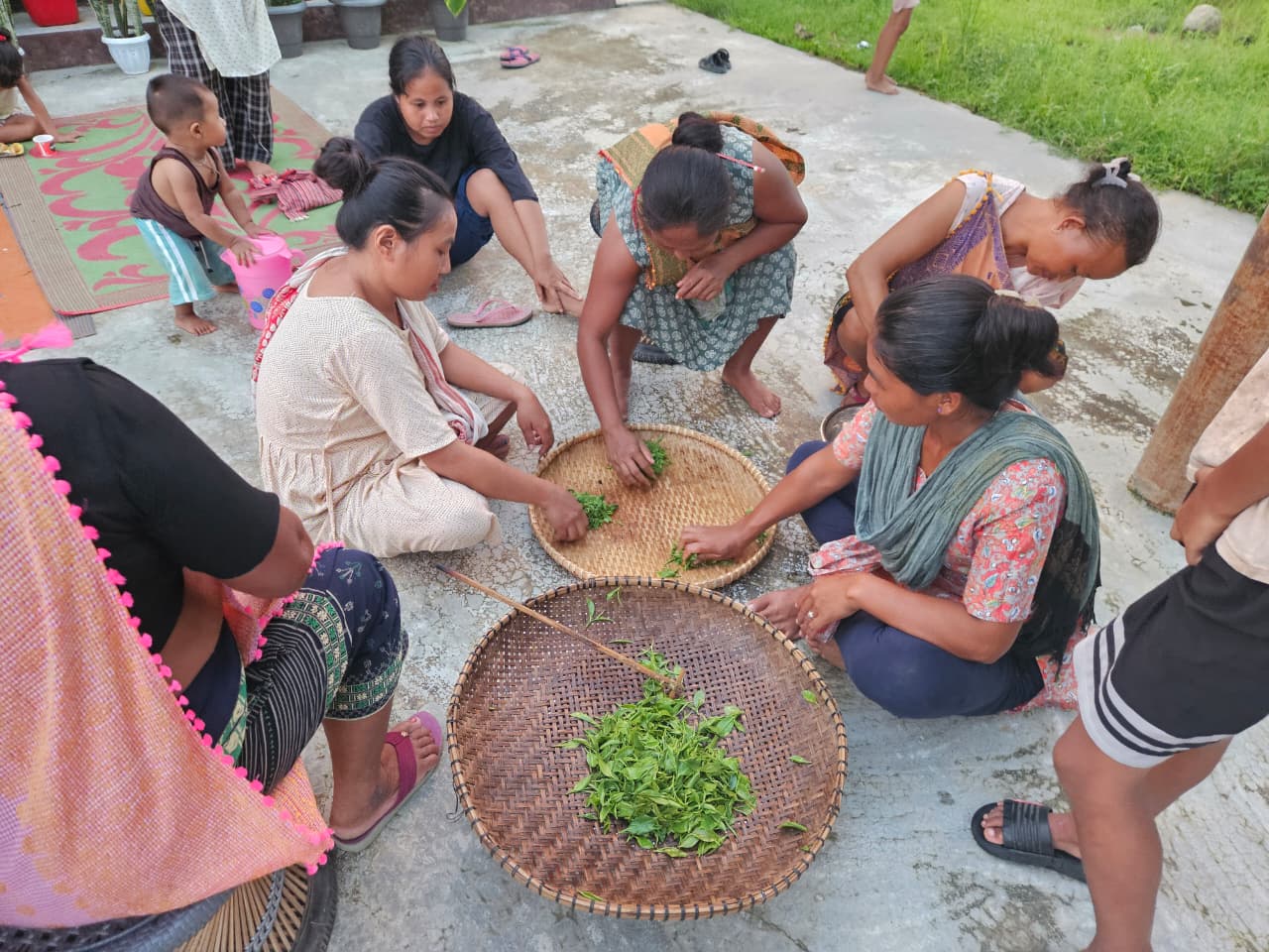 Visual of the Tea growers of Kaziranga-Karbi Anglong (Photo/ANI) Visual of the Tea growers of Kaziranga-Karbi Anglong (Photo/ANI)