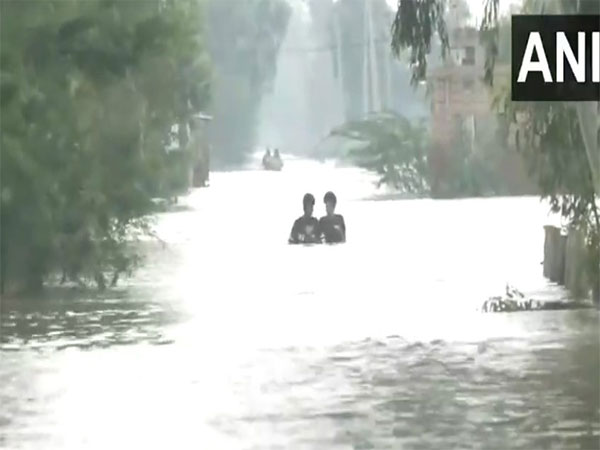 Visuals from Punjab's flooded areas (File Photo/ANI) Visuals from Punjab's flooded areas (File Photo/ANI)