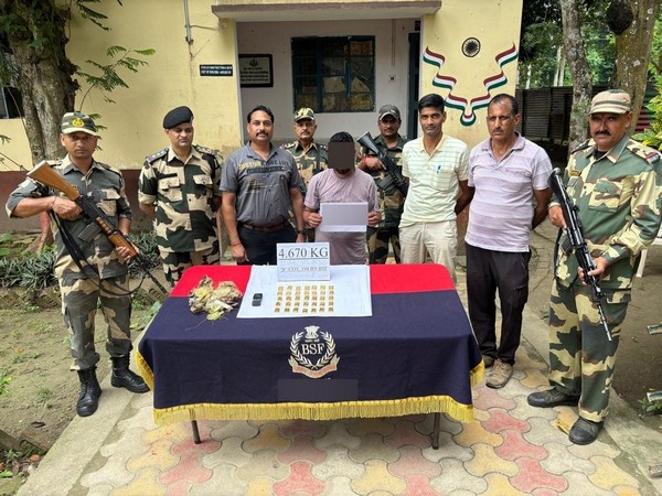 BSF South Bengal Frontier with the seized gold biscuits (Photo/BSF) BSF South Bengal Frontier with the seized gold biscuits (Photo/BSF)