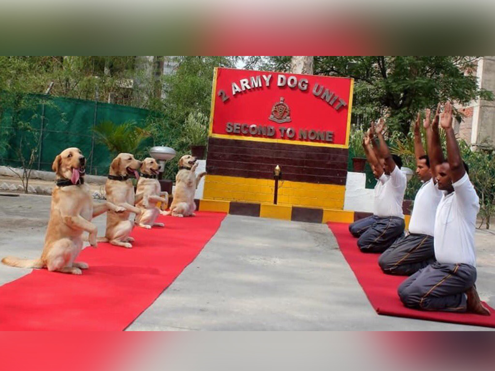 Representative image (File Photo/ ANI) Representative image (File Photo/ ANI)