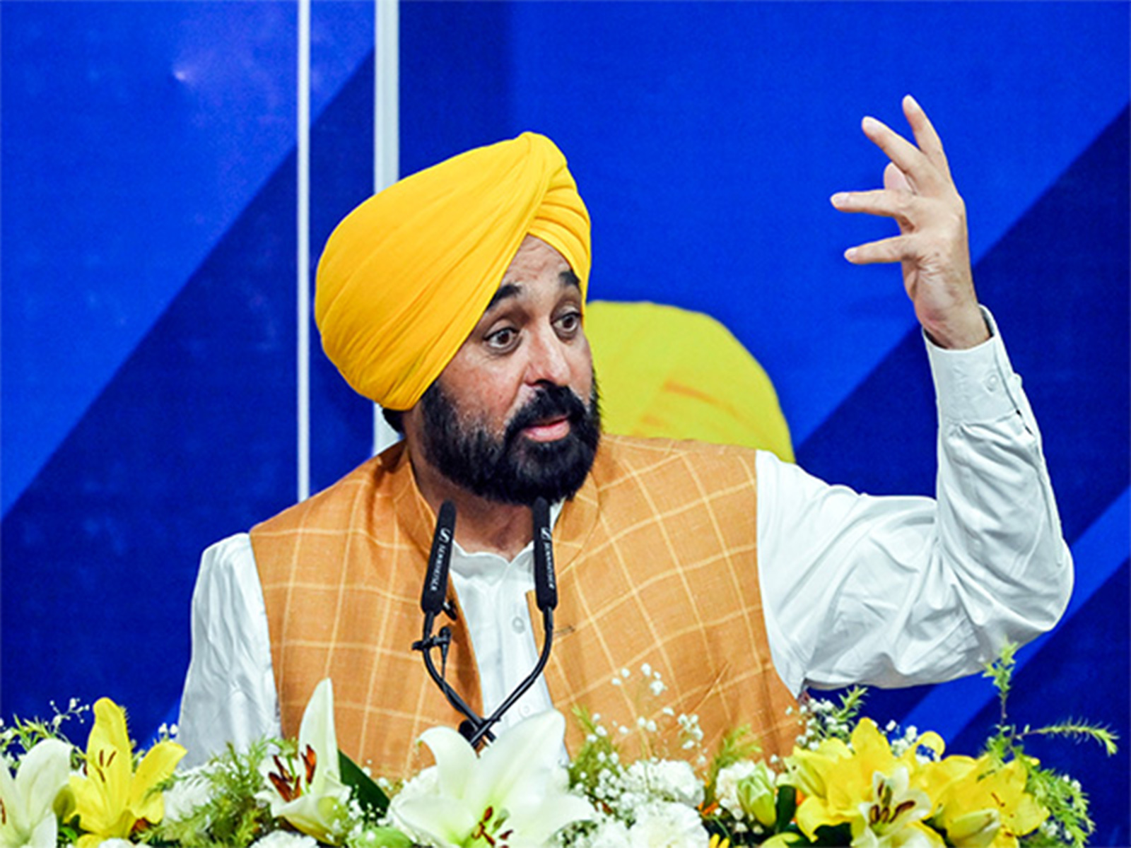 Punjab CM Bhagwant Mann ( File Photo: ANI) Punjab CM Bhagwant Mann ( File Photo: ANI)