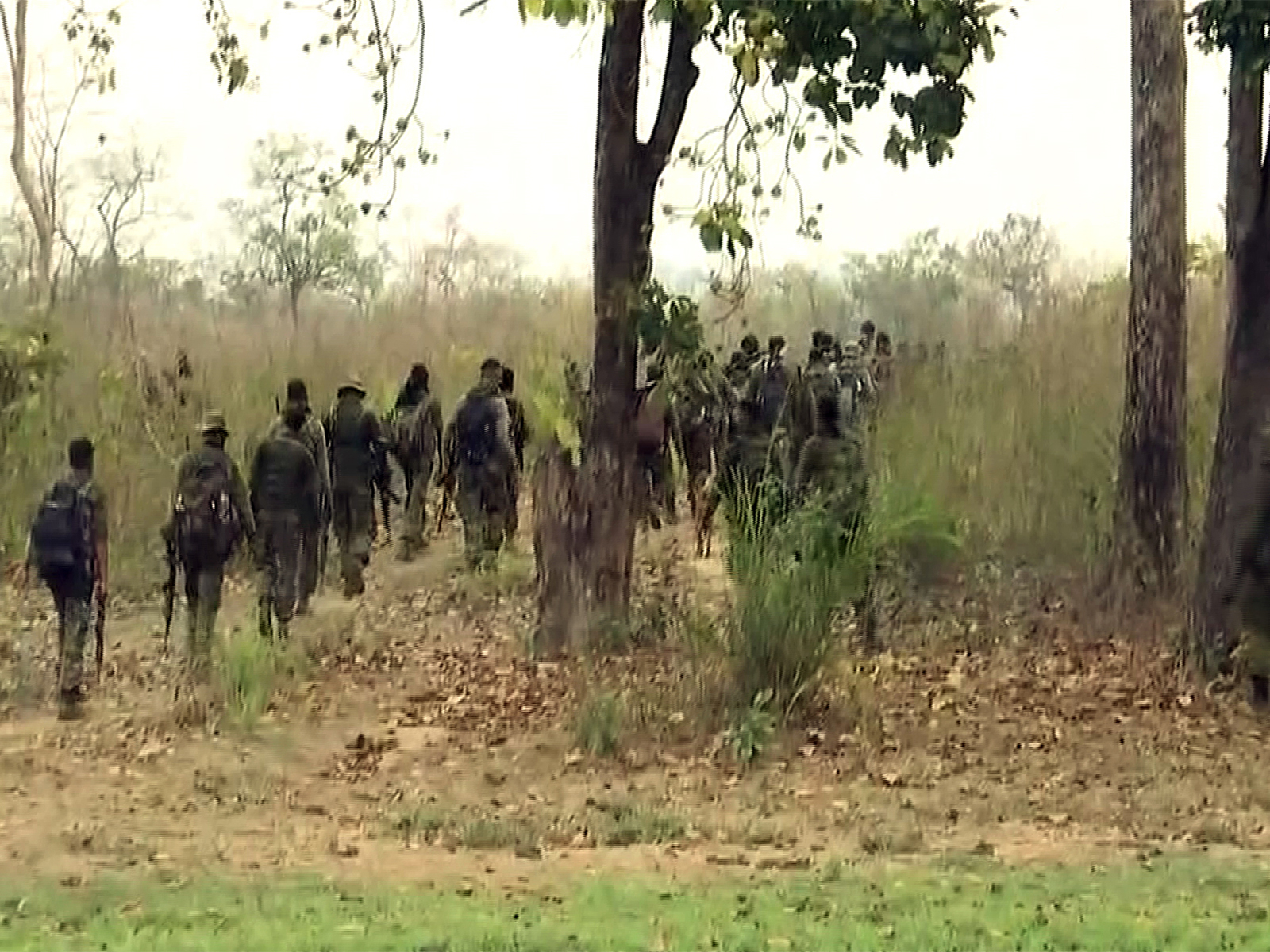Security forces carrying out an operation in Chhattisgarh (File Photo/ANI) Security forces carrying out an operation in Chhattisgarh (File Photo/ANI)