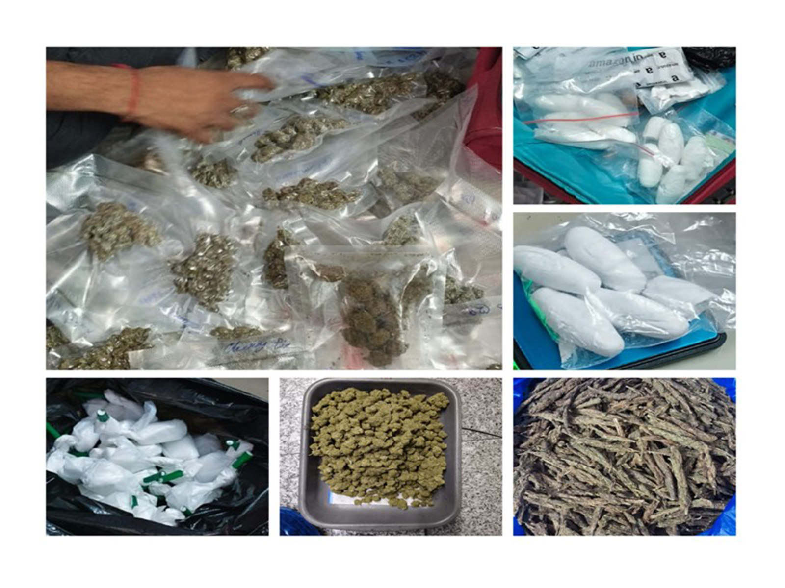 Seized narcotics by Directorate of Revenue Intelligence (Photo: PIB) Seized narcotics by Directorate of Revenue Intelligence (Photo: PIB)