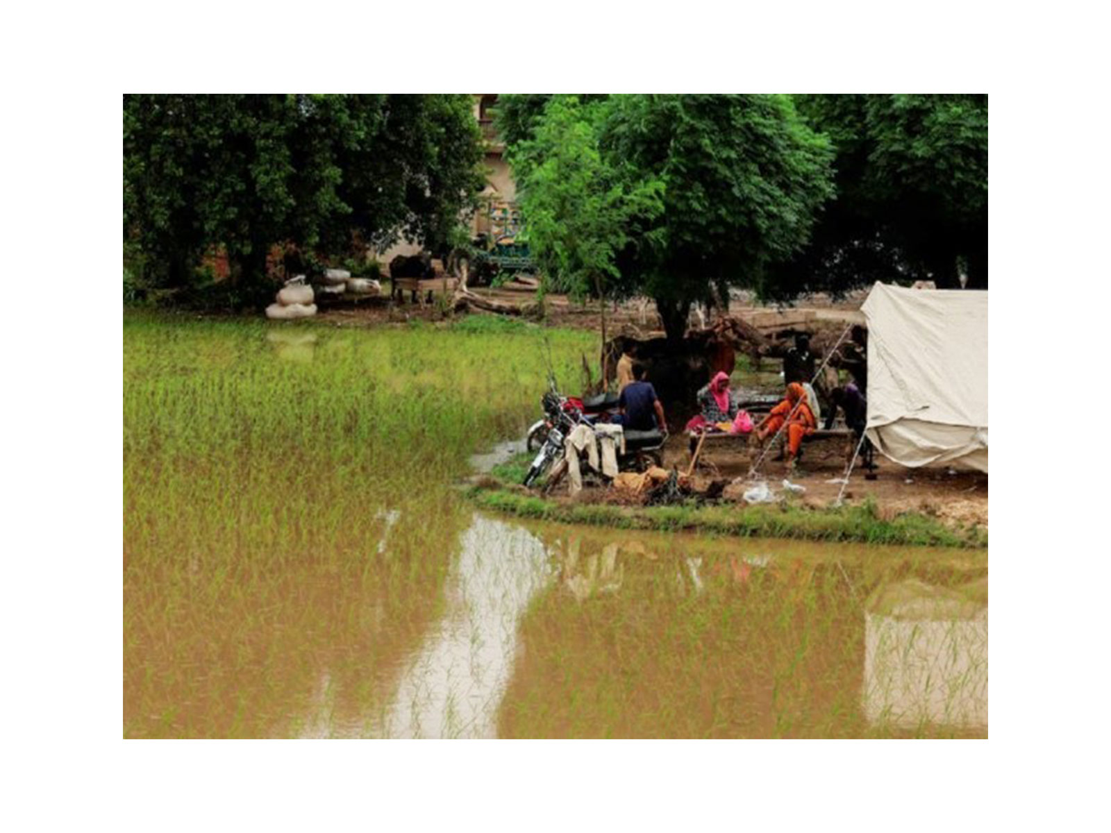 Flood in Pakistan (File Photo/Reuters) Flood in Pakistan (File Photo/Reuters)