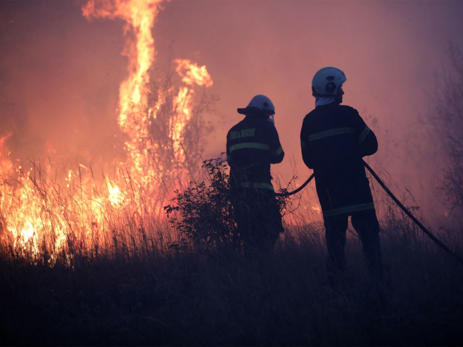 Wildfires rage across Bulgaria (Photo/Reuters) Wildfires rage across Bulgaria (Photo/Reuters)