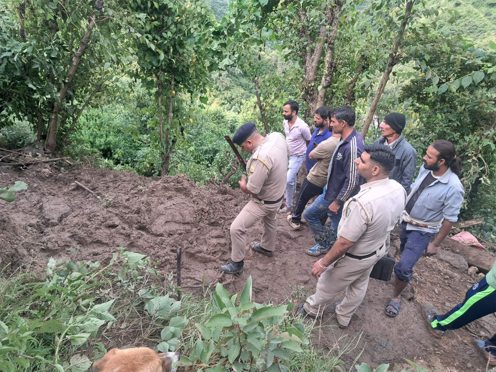 Rescue operation underway in Mandi (Photo/ANI) Rescue operation underway in Mandi (Photo/ANI)
