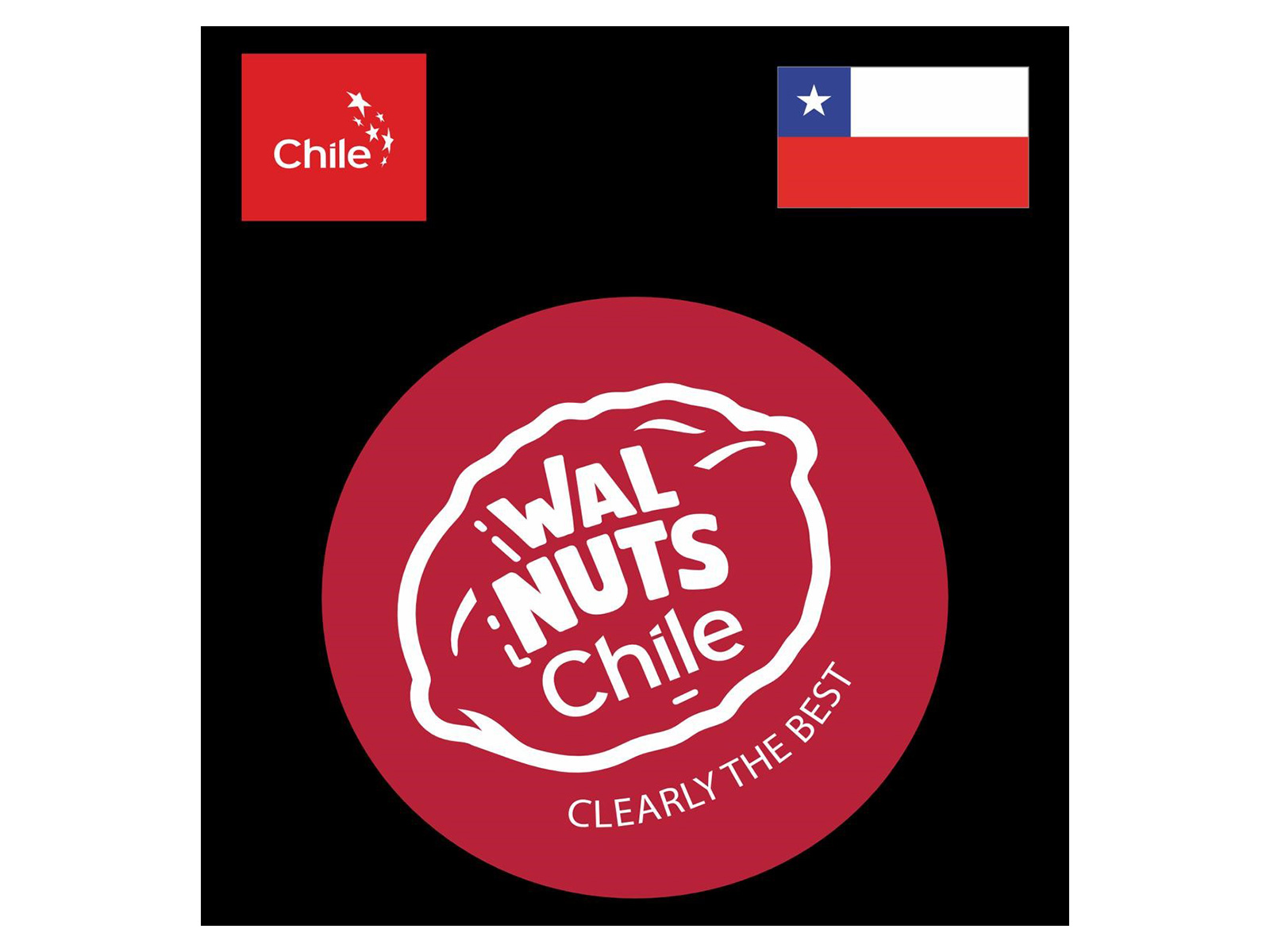 Chilean Walnuts Strengthen Presence in India with New Season Launch Chilean Walnuts Strengthen Presence in India with New Season Launch